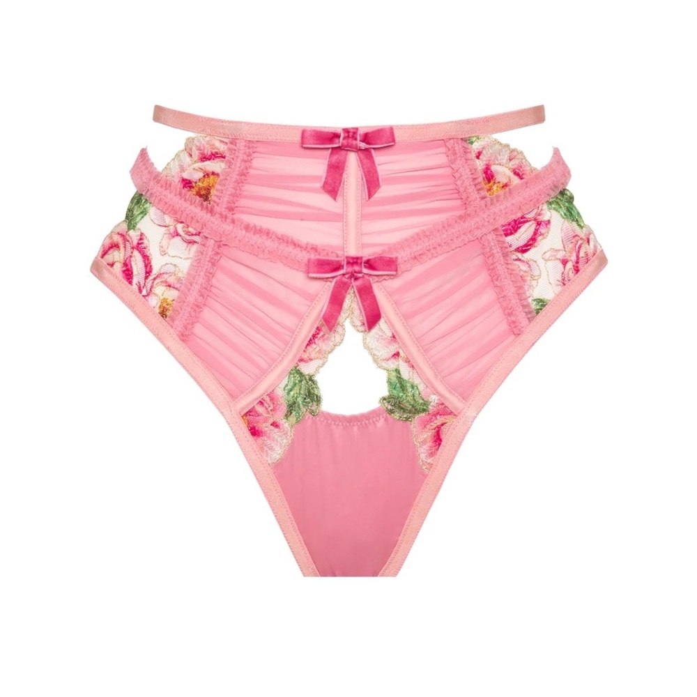 For Love and Lemons Needle Point Roses Cheeky Pink Panty NWT